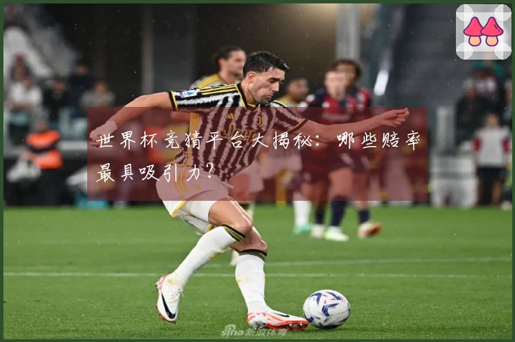 世界杯竞猜平台大揭秘：哪些赔率最具吸引力？