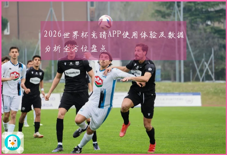 2026世界杯竞猜APP使用体验及数据分析全方位盘点
