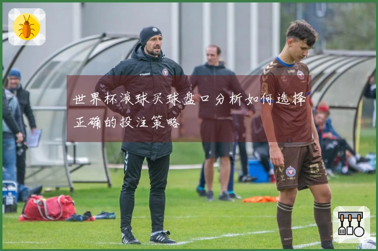 世界杯滚球买球盘口分析如何选择正确的投注策略